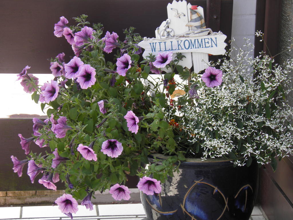 Appartement Kanew Petersdorf auf Fehmarn Bilik gambar